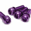 Reverse Jeu De Vis Pour Frein à Disque M6 18mm - 4 Pièces - Violet -vélo Soldes 01830 15KmQHqHF69f6J