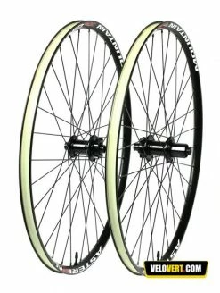 Asterion Mountain XC 650b