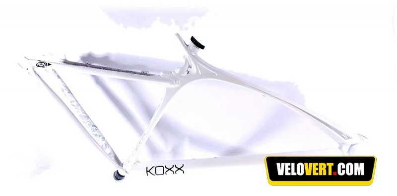 Koxx Botoxx 3 Koxx Botoxx