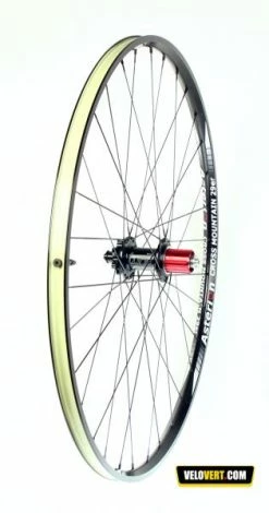 Asterion Cross Moutain 29er