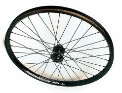 BOMBSHELL Fatdaddy Av