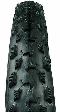 Schwalbe Black Jack Race Guard 2.1