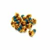 Reverse Jeu De Vis Pour Disques De Frein - Or 1 Reverse Jeu De Vis Pour Disques De Frein - Or -vélo Soldes schrauben set fuer bremsscheiben 122013F1j5Bma2St3ysWpMPaSJ5gpnCk